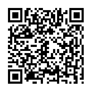 Rotarymadridvelazquezinternacional.com QR code