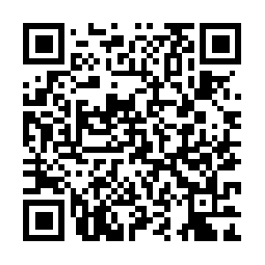 Roundaboutnashvilletransportation.com QR code