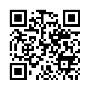 Route-company.biz QR code