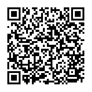 Royalhaskoningdhv-tailoredassetoptimisation.com QR code