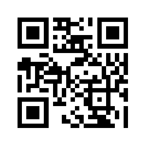 Rt2024.com QR code