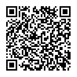 Rtc-test.byted.org.getcacheddhcpresultsforcurrentconfig QR code