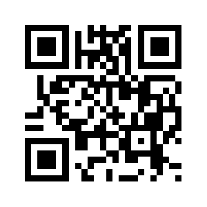 Ryanintl.biz QR code