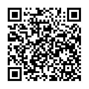 Ryanslawncareandpressurewashing.com QR code