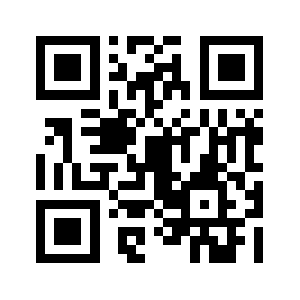 Ryzer.com QR code