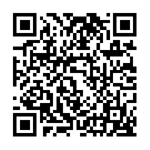 S6f2a3c3vw42lx937161xbl49p2owy.ipcheker.com QR code