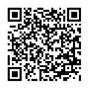 Sabordivinofastfood.dellivery.online QR code