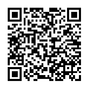 Sadaskjdaskjd32j2k3j123kjskjsakjdas.com QR code