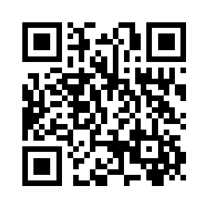 Safety-pipes.com QR code