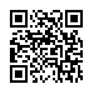 Safetyframes.com QR code