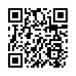 Safetysytemsolutions.us QR code