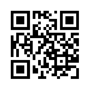 Salinasnyc.com QR code