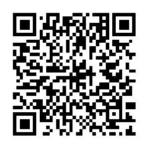 Sardiniandiscoveryadventureschool.com QR code