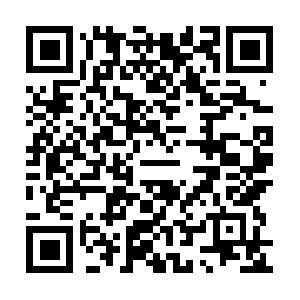 Sayitlouderentertainmentpromotions.com QR code