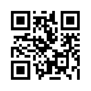 Sbtl31ns.biz QR code