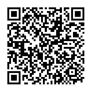 Sc-cdn.net.getcacheddhcpresultsforcurrentconfig QR code