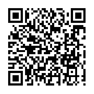 Sc.dob.sibl.support-intelligence.net QR code