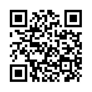 Schaumschlaeger.biz QR code