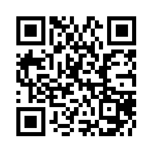 Schnelleseinkommen.org QR code