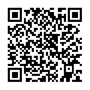 Schoolofprofessionalphotography.net QR code