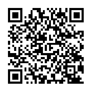 Sciencrfictionnetworksincorporated.com QR code