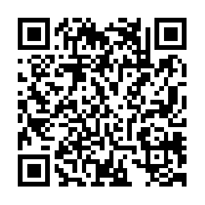 Scribd.com.dob.sibl.support-intelligence.net QR code