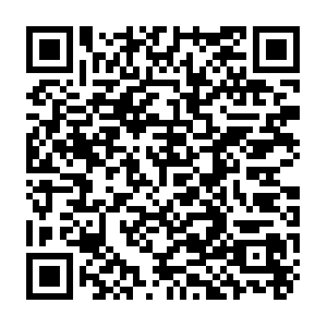 Sdk-diagnostics.prd.mz.internal.unity3d.com.itotolink.net QR code