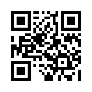 Sdtyzkg.com QR code