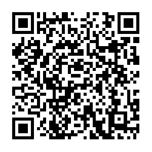 Se-adn-hb-143179080.ap-northeast-2.elb.amazonaws.com QR code