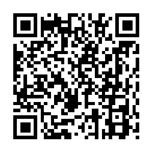 Seachangetransformationservices.info QR code