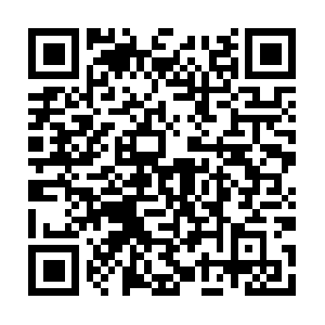 Searchad-phinf.pstatic.net.static.gscdn.net QR code