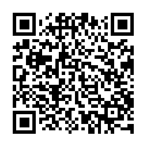 Searchcalgaryrealestatelistings.com QR code