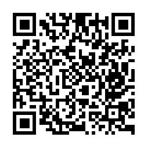 Searchengineoptimizationmarketing.ca QR code