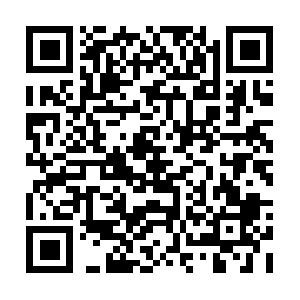 Searchengineporninformationportals.com QR code