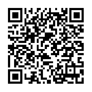 Seek.mybranch-files-distribution.com QR code