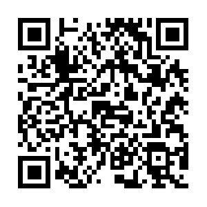 Seekandfindfurniturehomedecorandmore.com QR code