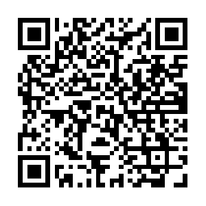 Segurosyplanesdeahorroguadalajara.com QR code