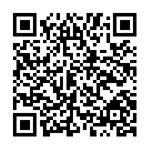 Sejaummestreemfotografiadigital.com QR code