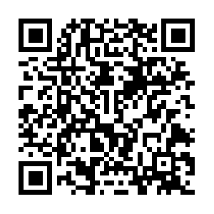 Selectinformations-briefedforyou.info QR code