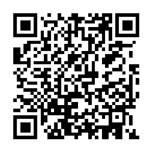 Selfsustainablehealthylifestyle.com QR code