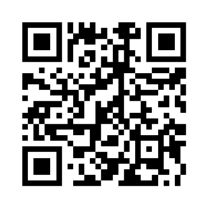 Selleysgrillcleaning.com QR code