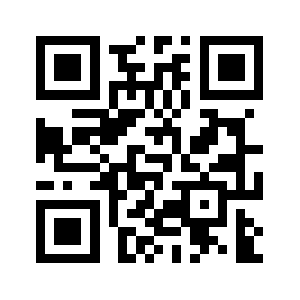 Selloinsu.com QR code