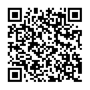 Seniortransitionservicesofgreenville.com QR code