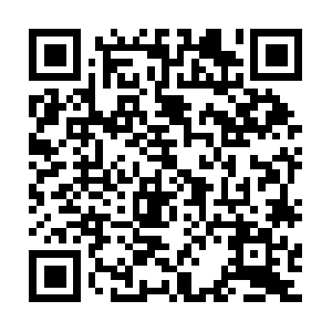 Seniorwellnesscaregivingpartners.com QR code