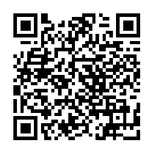 Sensors.just-hawk2-04.my.cbcloud.de QR code