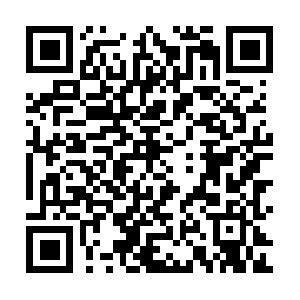 Sensorsdata.vipkid.com.cn.damiwangxiao.com QR code