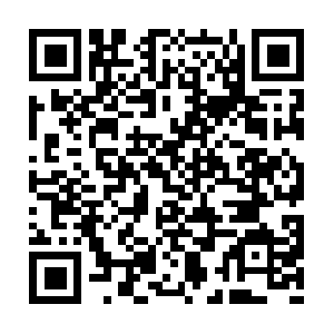 Serendipitycommunityresourcessociety.ca QR code