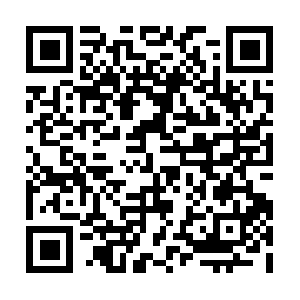 Serenitycarpetrestorationmemphis.com QR code