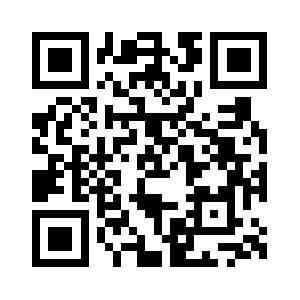 Server-2.bignettech.com QR code