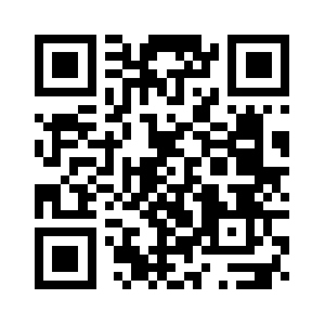 Server-41.2gamestech.com QR code